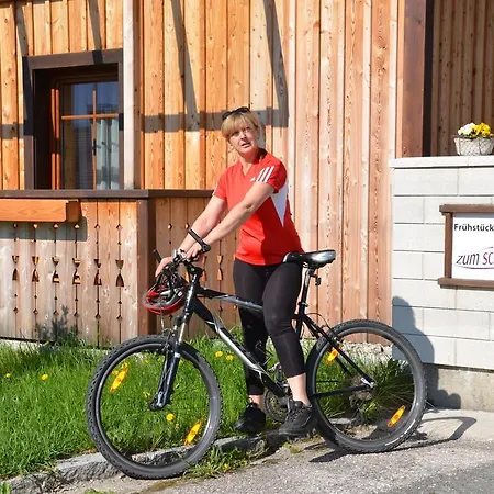 Zum Schreiner Hermagor-Pressegger See