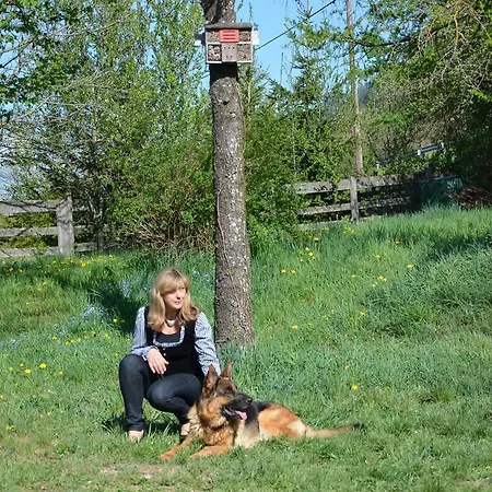 Zum Schreiner Hermagor-Pressegger See