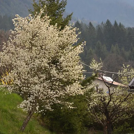 Zum Schreiner Bed & Breakfast 4*