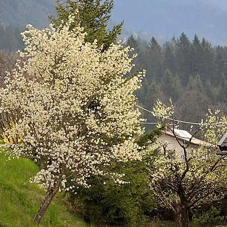 Zum Schreiner -valora- Bed and Breakfast 3*