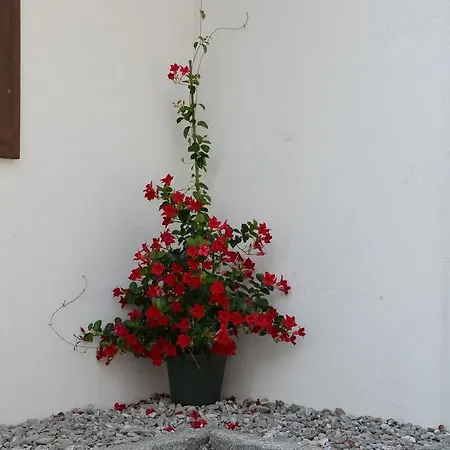 Zum Schreiner -valora- Bed and Breakfast 3*