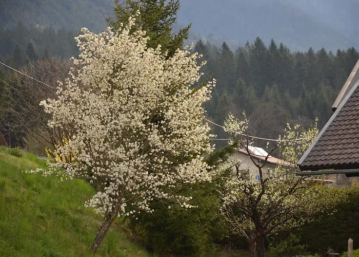 Zum Schreiner Bed & Breakfast 3*