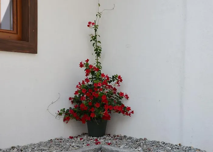 Zum Schreiner Bed & Breakfast 3*