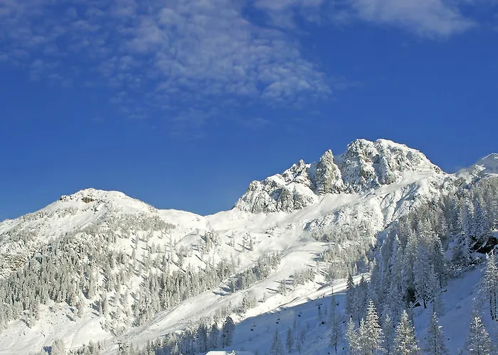 Zum Schreiner Hermagor-Pressegger See